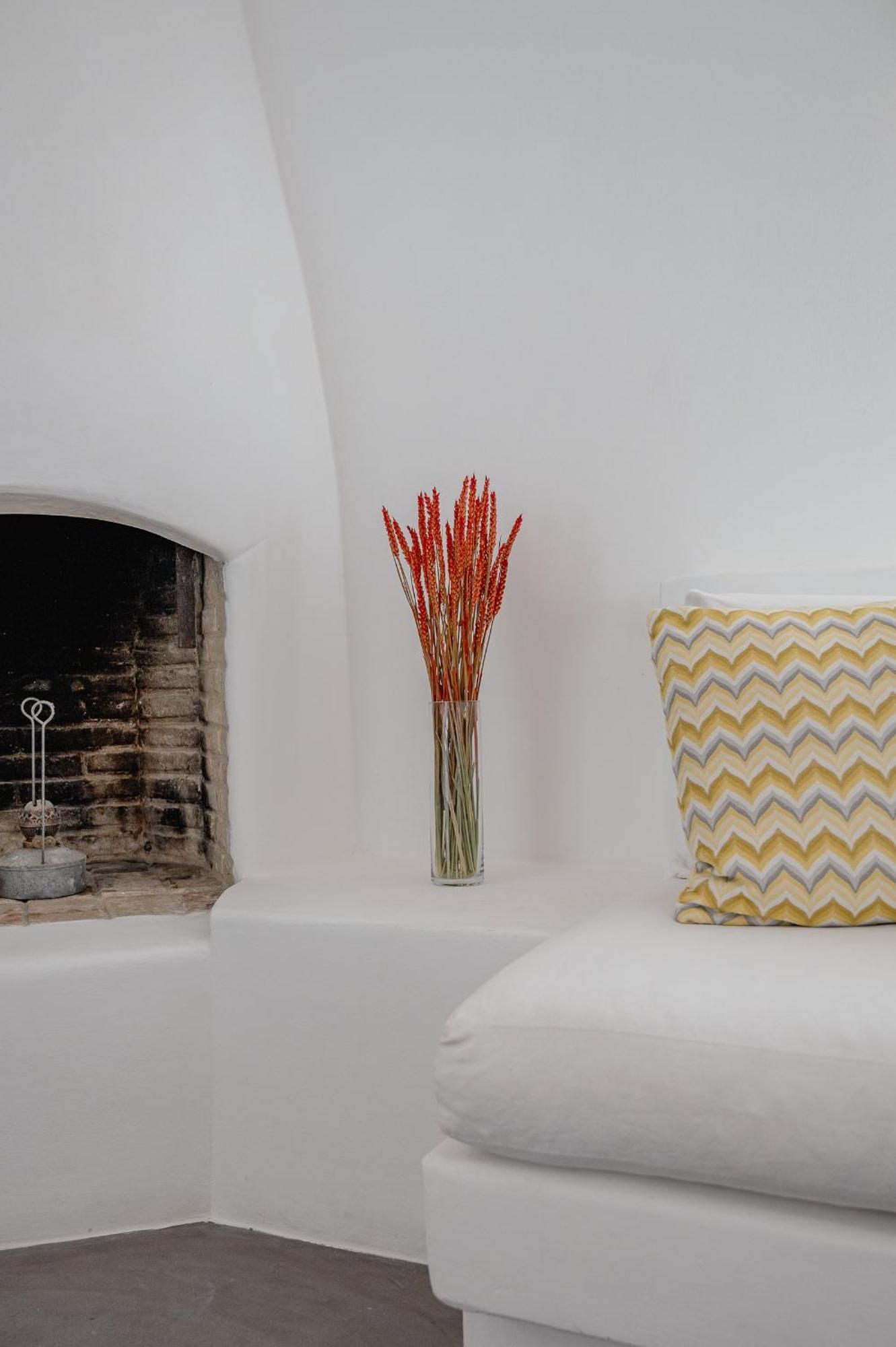 Healthy House Mykonos Βίλα Ορνός Εξωτερικό φωτογραφία